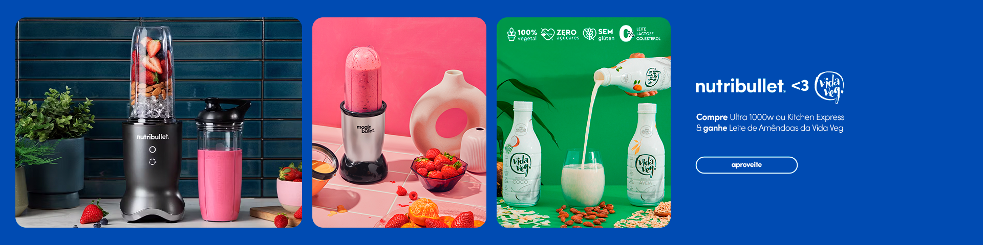 nutri + vida veg desk